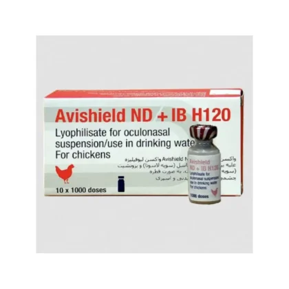 Avishield ND + IB H120 Vaccine (1000ds)