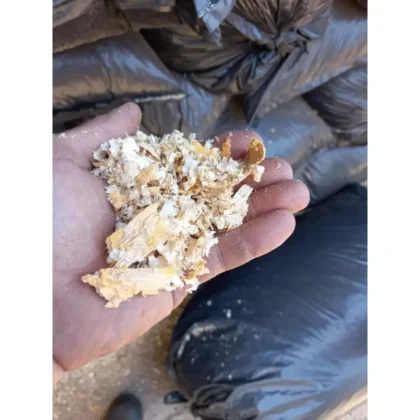 Bag of pine shavings