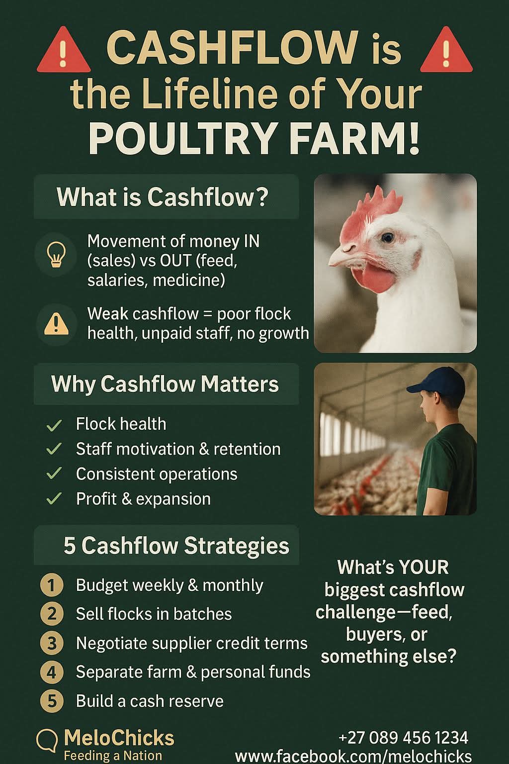 Cashflow is king in poultry farming
