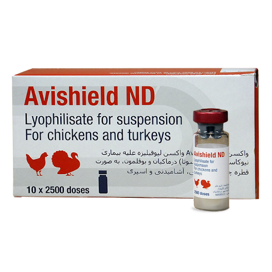 Avishield ND Vaccine (1000 Doses) - R80.00 - Shop Premium Quality