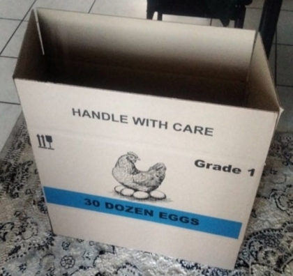 Box for 360 eggs