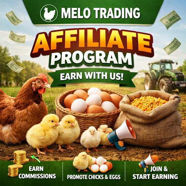 Affiliate Program